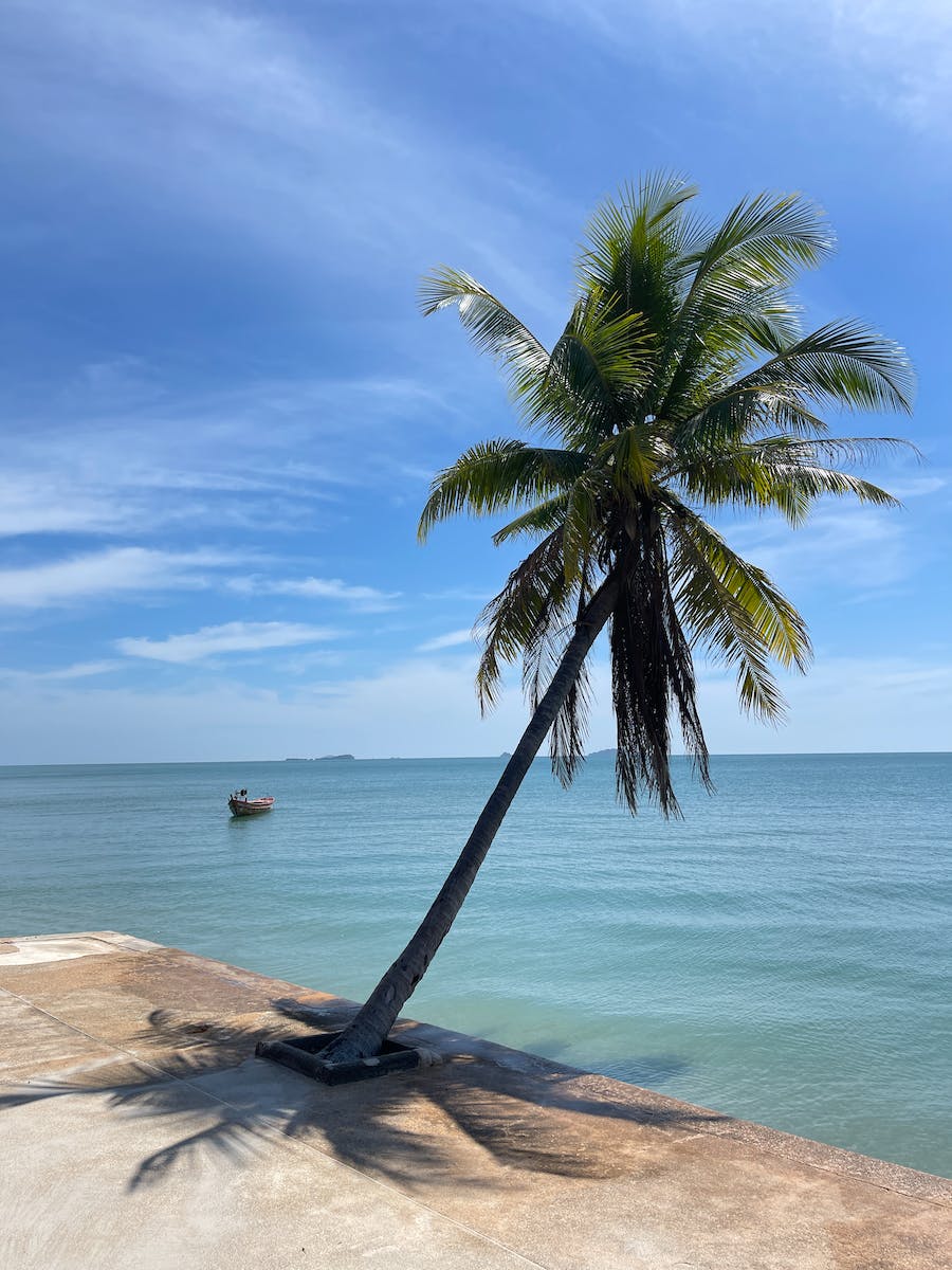 🛶🏝️