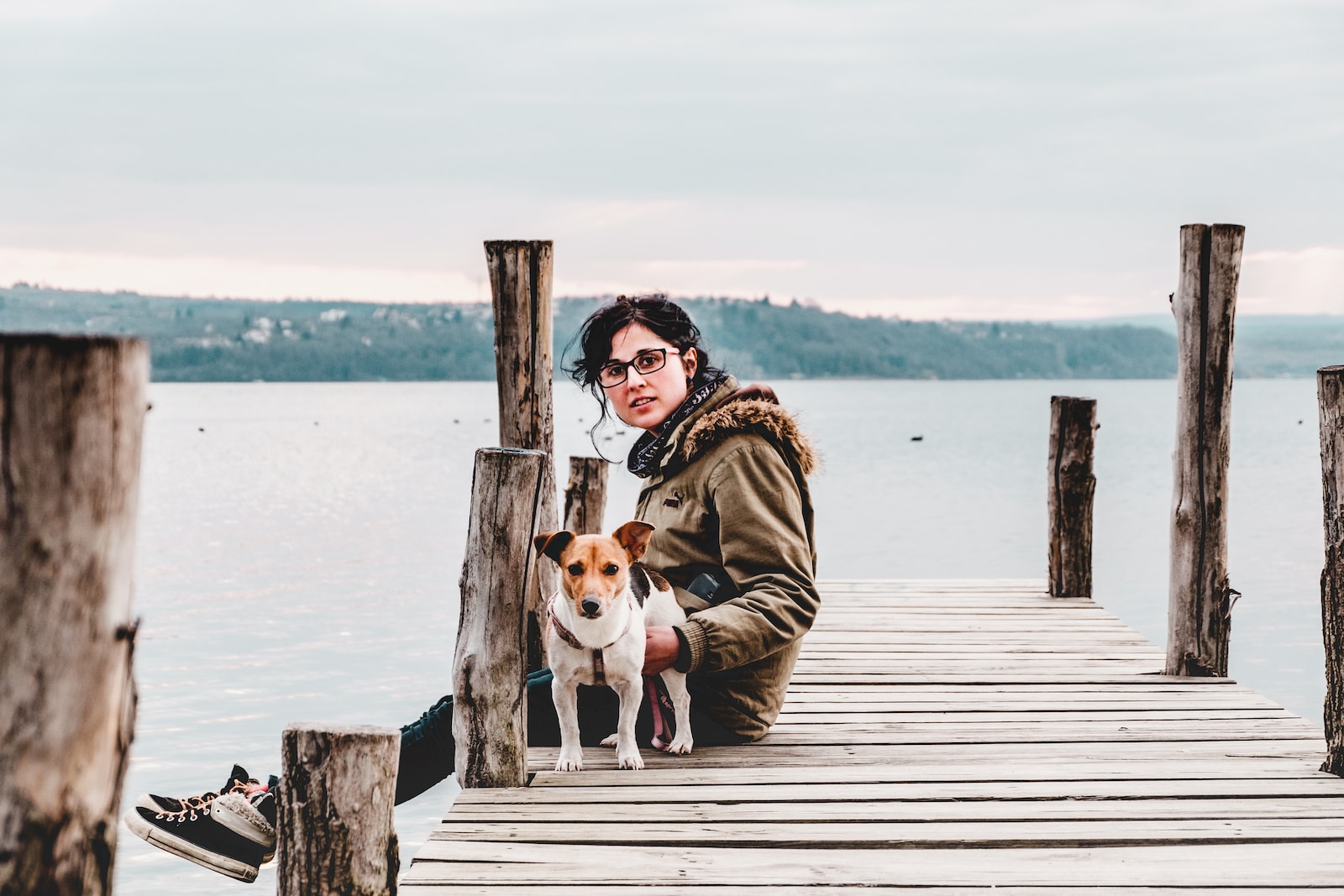 woman sitting on brown wooden dock with dog